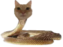 :chat_serpent: