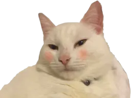 :teuch: