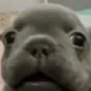 :Oh_PTD: