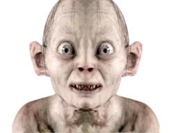 :gollum_miroir:
