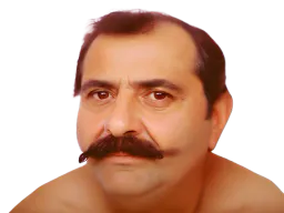 :Risatis: