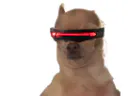 :Cyclope: