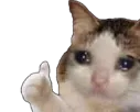 :Chatok: