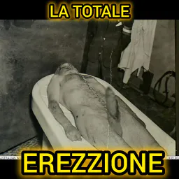 :Erezzione: