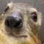 Photo de profil de MeeMs