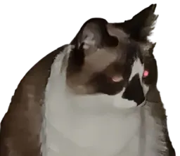 :Gros_chat_Letal: