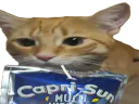 :chat_capri_sun: