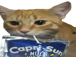 :chat_capri_sun:
