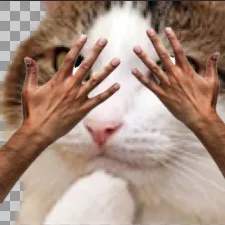:chacache: