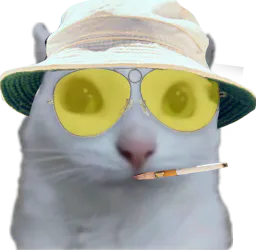 :Chat_zieute_parano: