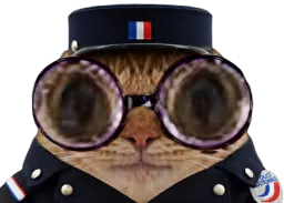 :Chat_lunettes_Mon_Issou: