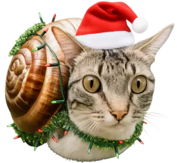 :Escargochat_noel: