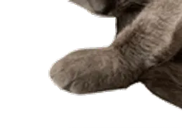 :chalpapatte:
