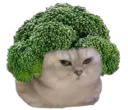:BrocoliNRV: