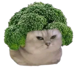 :BrocoliNRV: