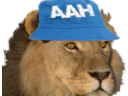 :Lionaah: