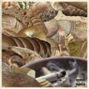 Moonrock