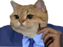 :chat_costume: