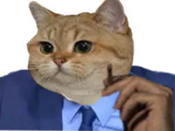 :chat_costume: