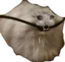 :chat_electrique:
