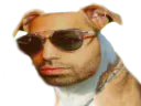 :pnl_chien: