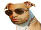 :pnl_chien: