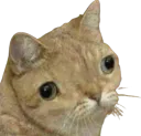 :Gnnn:
