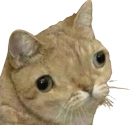 :Gnnn: