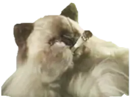 :chat_joint: