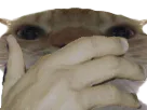 :chakmain: