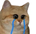 :trisochatriste: