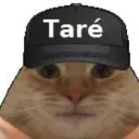 tare_ddb
