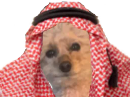 :Zilvia_Real_Gateaudeluxe: