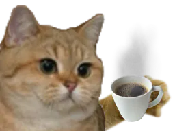:Chat22: