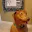 Photo de profil de TeddisleXique