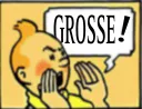 :Tintin_grosse: