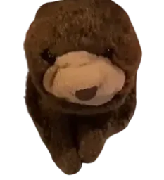 :Snug: