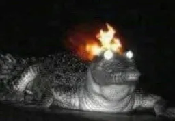 :crocofeu: