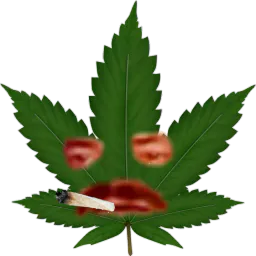 :Risibeux: