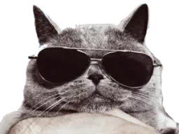 :Chatoklm: