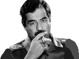:saddam_hussein_clope: