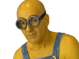 :Zidane_minion_: