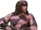 :conan_question_vdd: