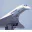 Photo de profil de Concorde