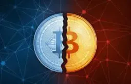 :Bitcoin_halving_btc: