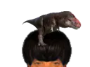 :Dinosaure_puceau: