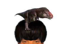 :Dinosaure_puceau: