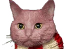 :Chat_triss6: