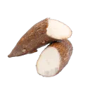 Racine-2-manioc