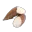 Photo de profil de Racine-2-manioc